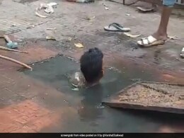 "Stain On Our Conscience": Congress MP Shares Manual Scavenging Video Allegedly From Mumbai "Stain On Our Conscience": Congress MP Shares Manual Scavenging Video Allegedly From Mumbai