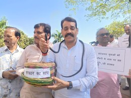 Congress Protest: सांप लेकर सदन में पहुंचे कांग्रेस विधायक, बोले- इसलिए विधानसभा में लेकर आना पड़ा स्नेक