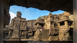 Hives To Be Removed From Ajanta Cave Complex After Bees Attack Tourists