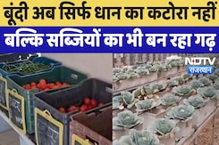 Bundi News :  बूंदी अब सिर्फ धान का कटोरा नहीं, बल्कि Vegetables का भी बन रहा गढ़ Bundi News :  बूंदी अब सिर्फ धान का कटोरा नहीं, बल्कि Vegetables का भी बन रहा गढ़