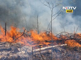 Pune News: ...म्हणून त्याने 13 दुचाकी जाळल्या, उच्चशिक्षित तरुणाचे संतापजनक कृत्य; पुण्यात काय घडलं?