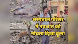 Khargone News: खरगोन जिला अस्पताल परिसर में नवजात के शव को नोचते दिखे कुत्ते, Video सामने आने पर मचा हड़कंप