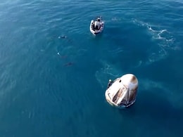 "They Want To Say Hi": Dolphins Welcome Sunita Williams After Return From Space "They Want To Say Hi": Dolphins Welcome Sunita Williams After Return From Space