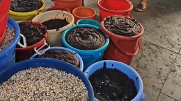 Serious Unhygienic Conditions, Unsafe Food Flagged At These Hyderabad Restaurants