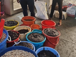 Serious Unhygienic Conditions, Unsafe Food Flagged At These Hyderabad Restaurants Serious Unhygienic Conditions, Unsafe Food Flagged At These Hyderabad Restaurants