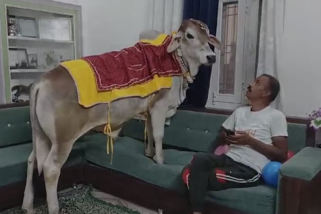 गणेश मालिक के साथ सोफे पर बैठे हुए गणेश मालिक के साथ सोफे पर बैठे हुए