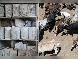 उदयपुर में 45 साल से चल रहा अस्थि बैंक, गो सेवा के बाद होता है मोक्ष के लिए हरिद्वार तक का सफर