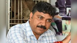 Rajasthan Politics: कंवरलाल मीणा की विधायकी होगी खत्म? बीजेपी MLA की सदस्यता रद्द करवाने हाईकोर्ट पहुंचे टीकाराम जूली