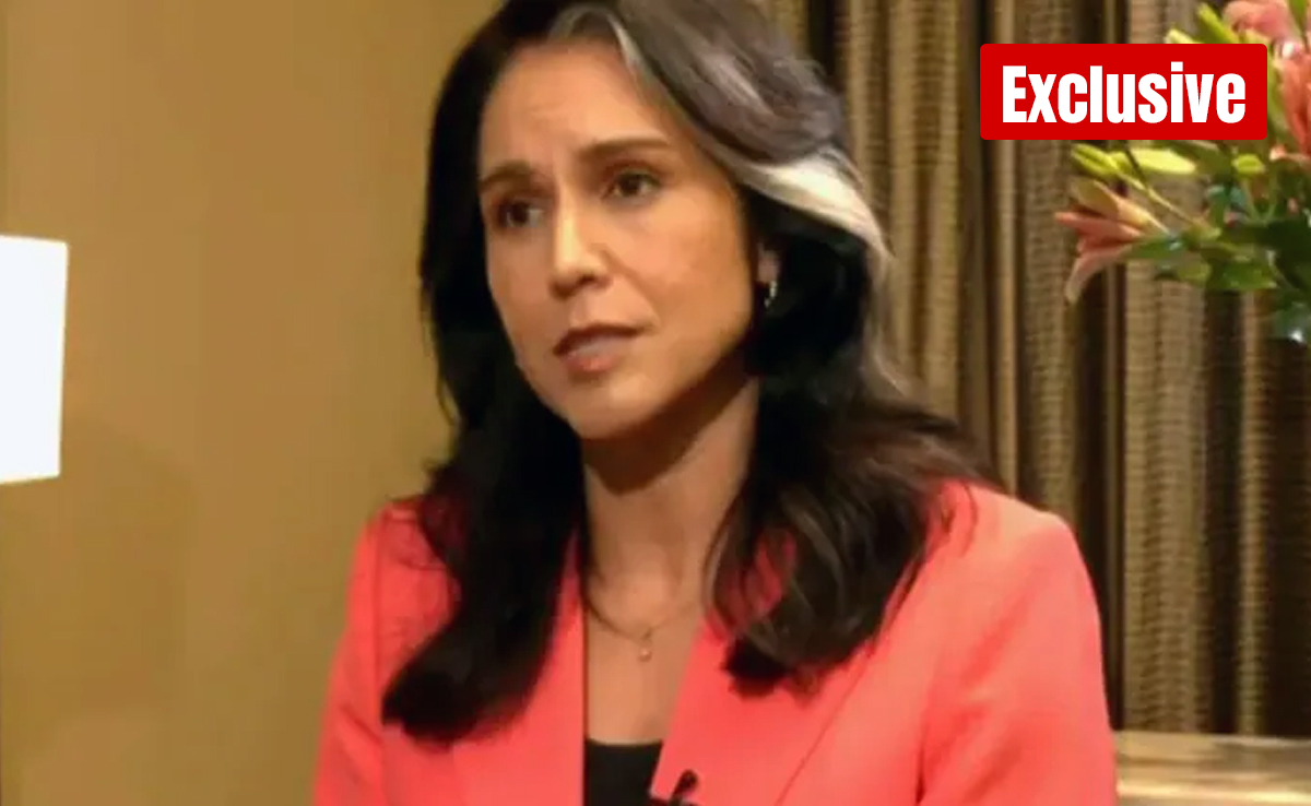 "Trump Focused On Peace": US Intel Chief Tulsi Gabbard On Russia-Ukraine War