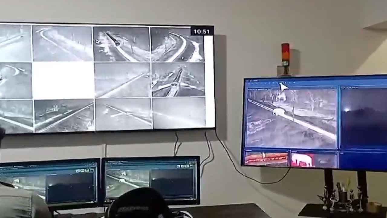 AI To Save Elephants In Tamil Nadu, Prevent Rail Crossing Deaths