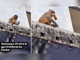 महंगे स्मार्टफोन पर अटका बंदर का दिल, बंदे के हाथ से Samsung S25 Ultra छुड़ाकर लगाई ऊंची छलांग महंगे स्मार्टफोन पर अटका बंदर का दिल, बंदे के हाथ से Samsung S25 Ultra छुड़ाकर लगाई ऊंची छलांग