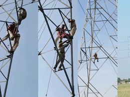 पति से हुआ झगड़ा तो टावर पर चढ़ गई पत्नी, बचाने के लिए पुलिसवाला बना सुपरमैन देखिए पति से हुआ झगड़ा तो टावर पर चढ़ गई पत्नी, बचाने के लिए पुलिसवाला बना सुपरमैन देखिए