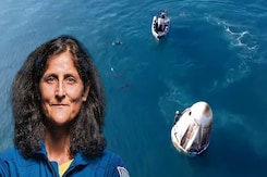 Dolphins Say Hi To Sunita Williams As She Returns Home To Earth Dolphins Say Hi To Sunita Williams As She Returns Home To Earth