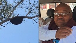 Honeybee Attack:&nbsp;भूमिपूजन कार्यक्रम में आई थी राज्यमंत्री और अफसर,&nbsp;मधुमक्खियों ने किया हमला तो मच गई भगदड़
