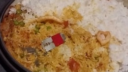 Blades Found In Hostel Food At Hyderabad University, Students Stage Protest