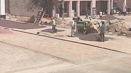 Rajasthan: मंडियों में सरसों की आवक शुरू, MSP ऑनलाइन रजिस्ट्रेशन की नहीं हुई शुरुआत, कम दाम में फसल बेचने को मजबूर किसान&nbsp;