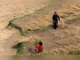 Rajasthan: मौसम की मार झेल रहे किसान, जितनी हो रही आमदनी उतना ही हो रहा खर्चा, कब होगी आय दोगुनी ?   Rajasthan: मौसम की मार झेल रहे किसान, जितनी हो रही आमदनी उतना ही हो रहा खर्चा, कब होगी आय दोगुनी ?