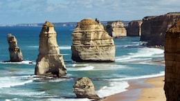 In Melbourne: Polka-Dotted Trees And A Great Ocean Drive Down Australia's Second City