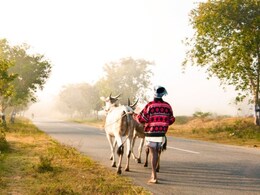 Wardha News : वर्ध्यातील 'या' गावात ग्रामस्थांचं वीज बिल शून्यावर, कशी साधली ही किमया? Wardha News : वर्ध्यातील 'या' गावात ग्रामस्थांचं वीज बिल शून्यावर, कशी साधली ही किमया?