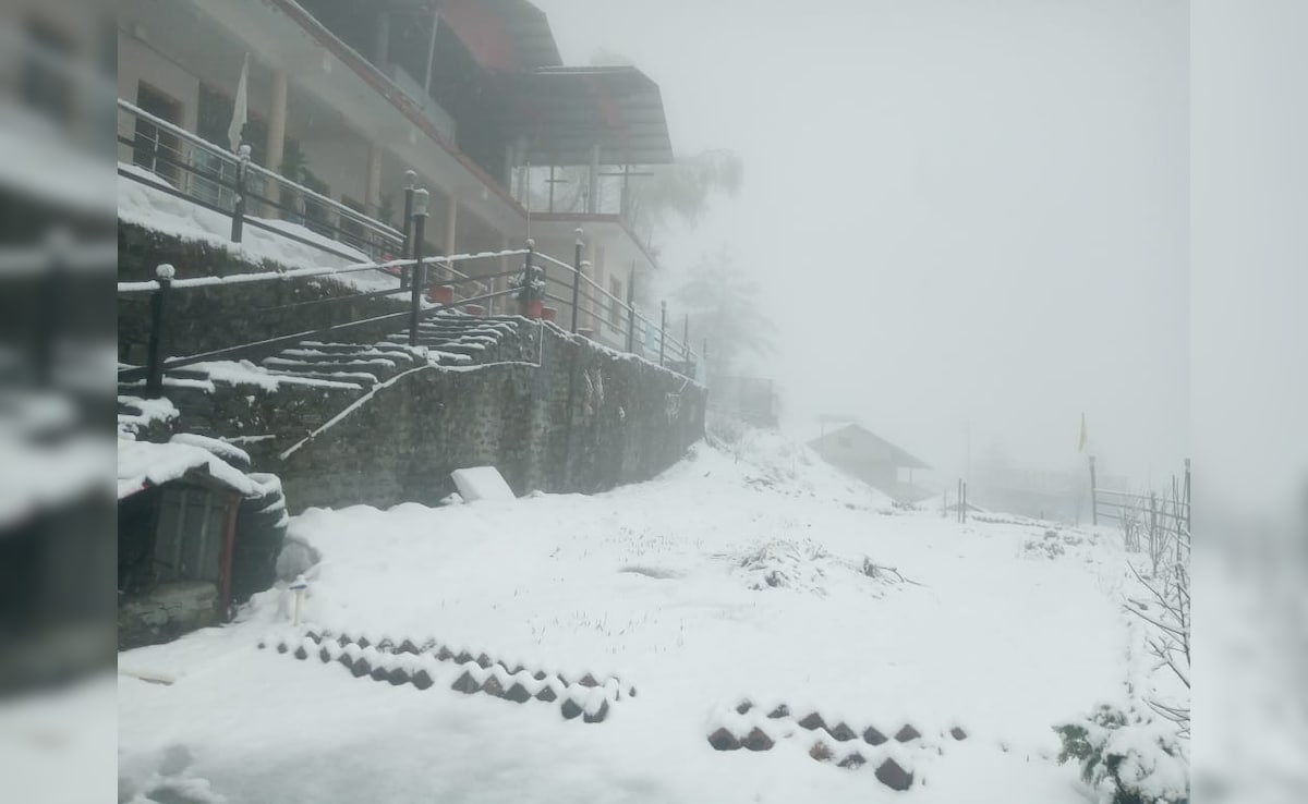 उत्तराखंड में मौसम ने फिर ली करवट, बारिश और बर्फबारी ने बढ़ाई ठंड | Weather  changed again in Uttarakhand, rain and snowfall increased the cold