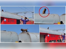 Monkey on The Train: ट्रेन पर चढ़ गया बन्दर, रेस्क्यू करने में छूटे पसीने, वीडियो हुआ वायरल