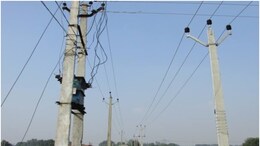 Rajasthan: धौलपुर में करंट की चपेट में आने से 45 साल के शख्स की मौत, टहलते पर बिजली के खंभे से टच हो गया था हाथ