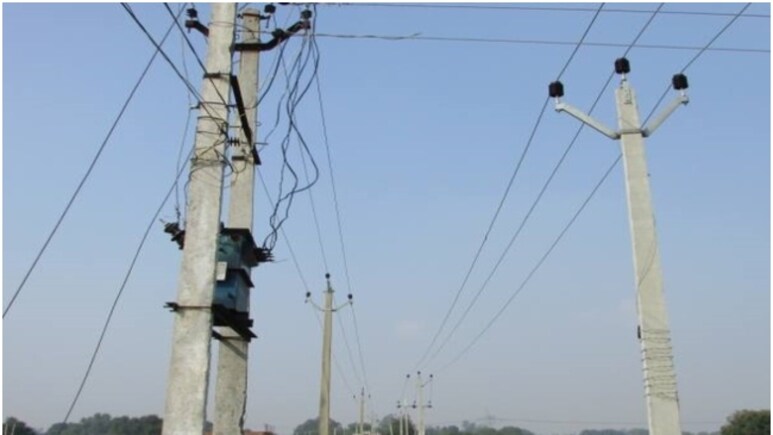 Rajasthan: धौलपुर में करंट की चपेट में आने से 45 साल के शख्स की मौत, टहलते पर बिजली के खंभे से टच हो गया था हाथ