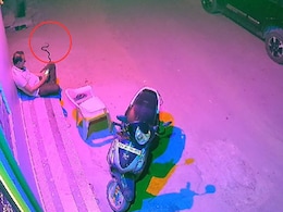 मोबाइल देख रहे शख्स के साथ होने वाली थी अनहोनी, सांड ने बचाई जान; वीडियो वायरल मोबाइल देख रहे शख्स के साथ होने वाली थी अनहोनी, सांड ने बचाई जान; वीडियो वायरल