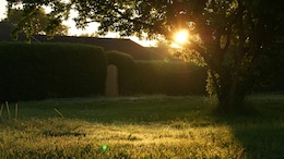 Keep Your Backyard Safer, Cooler This Summer With These Tips