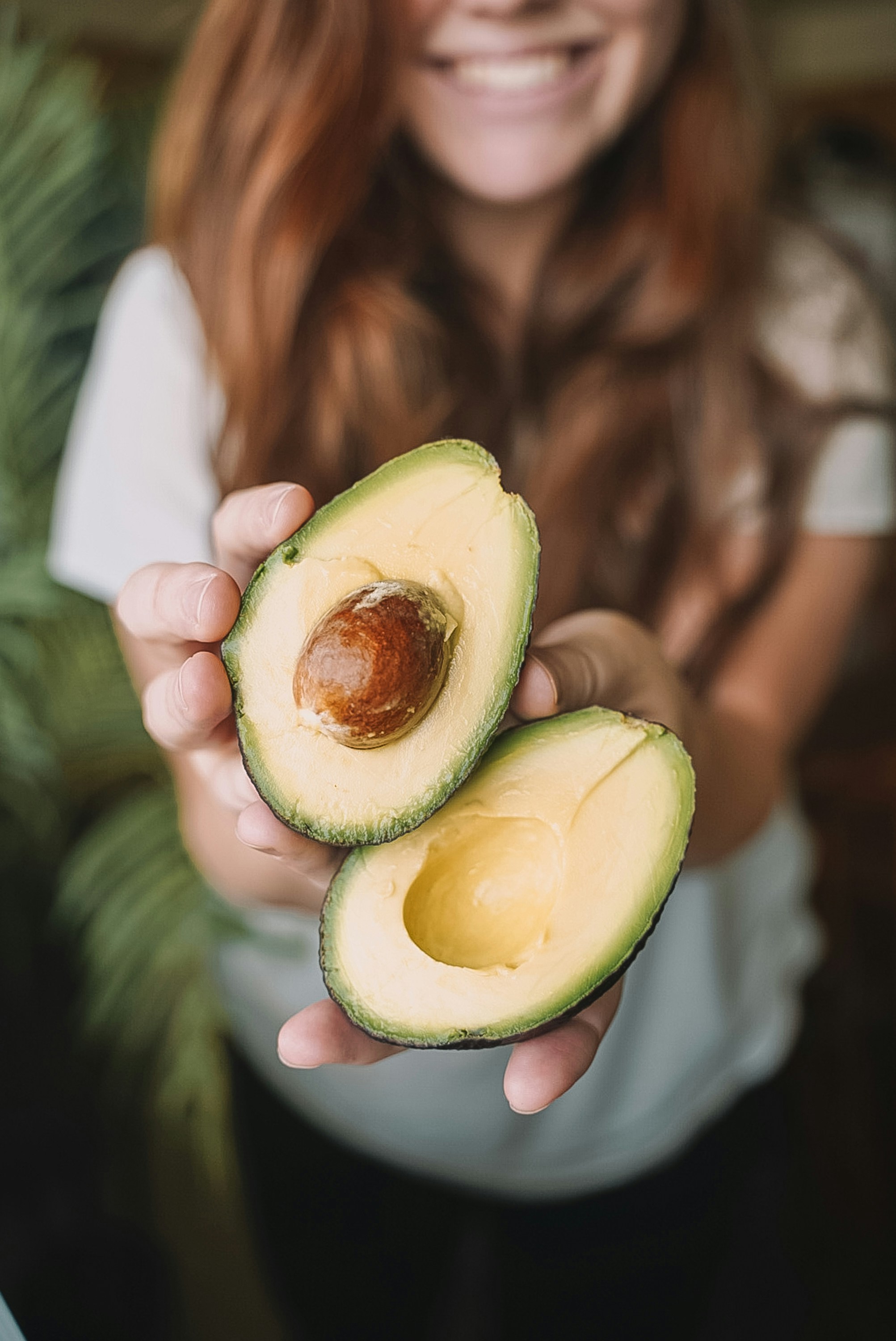 Avocados are rich in monounsaturated fats