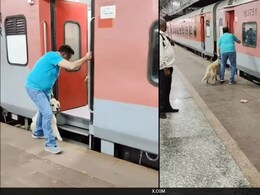 झांसी में चलती ट्रेन में चढ़ने के प्रयास में पटरी पर गिरने वाले कुत्ते का क्या हुआ? झांसी में चलती ट्रेन में चढ़ने के प्रयास में पटरी पर गिरने वाले कुत्ते का क्या हुआ?