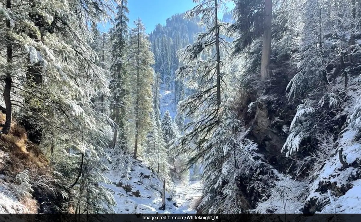 Srinagar Терорист е убит при среща със силите за сигурност