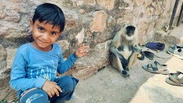 Rajasthan: त्रिनेत्र गणेश मार्ग 24 अप्रैल तक बंद रहेगा, 6 दिन पहले 7 साल के कार्तिक को बाघ ने दिया था मार