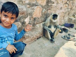 Rajasthan: त्रिनेत्र गणेश मार्ग 24 अप्रैल तक बंद रहेगा, 6 दिन पहले 7 साल के कार्तिक को बाघ ने दिया था मार