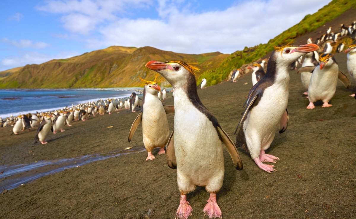 Photo: iStock Photo: iStock