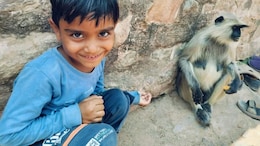 Boy, 7, Came To Ranthambore Temple With Family To Pray, Killed By Tiger