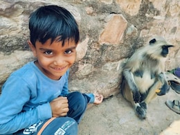 Boy, 7, Came To Ranthambore Temple With Family To Pray, Killed By Tiger Boy, 7, Came To Ranthambore Temple With Family To Pray, Killed By Tiger
