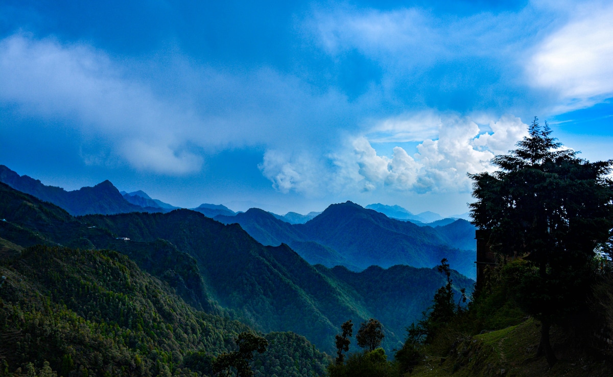 Ziro Valley. Photo: Unsplash Ziro Valley. Photo: Unsplash