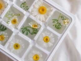 6 Genius Ways Ice Cube Trays Can Level Up Your Summer Kitchen Game 6 Genius Ways Ice Cube Trays Can Level Up Your Summer Kitchen Game