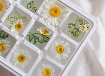 6 Genius Ways Ice Cube Trays Can Level Up Your Summer Kitchen Game 6 Genius Ways Ice Cube Trays Can Level Up Your Summer Kitchen Game