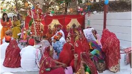उदयपुर में धूमधाम से कराई गई दो पेड़ों की अनोखी शादी, पंडित से कुंडली मिलवाई, मंत्र पड़े, लोगों ने किया डांस