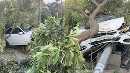 Speeding Mercedes Crashes Into Tree In Noida As Driver Loses Control
