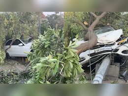 Speeding Mercedes Crashes Into Tree In Noida As Driver Loses Control Speeding Mercedes Crashes Into Tree In Noida As Driver Loses Control