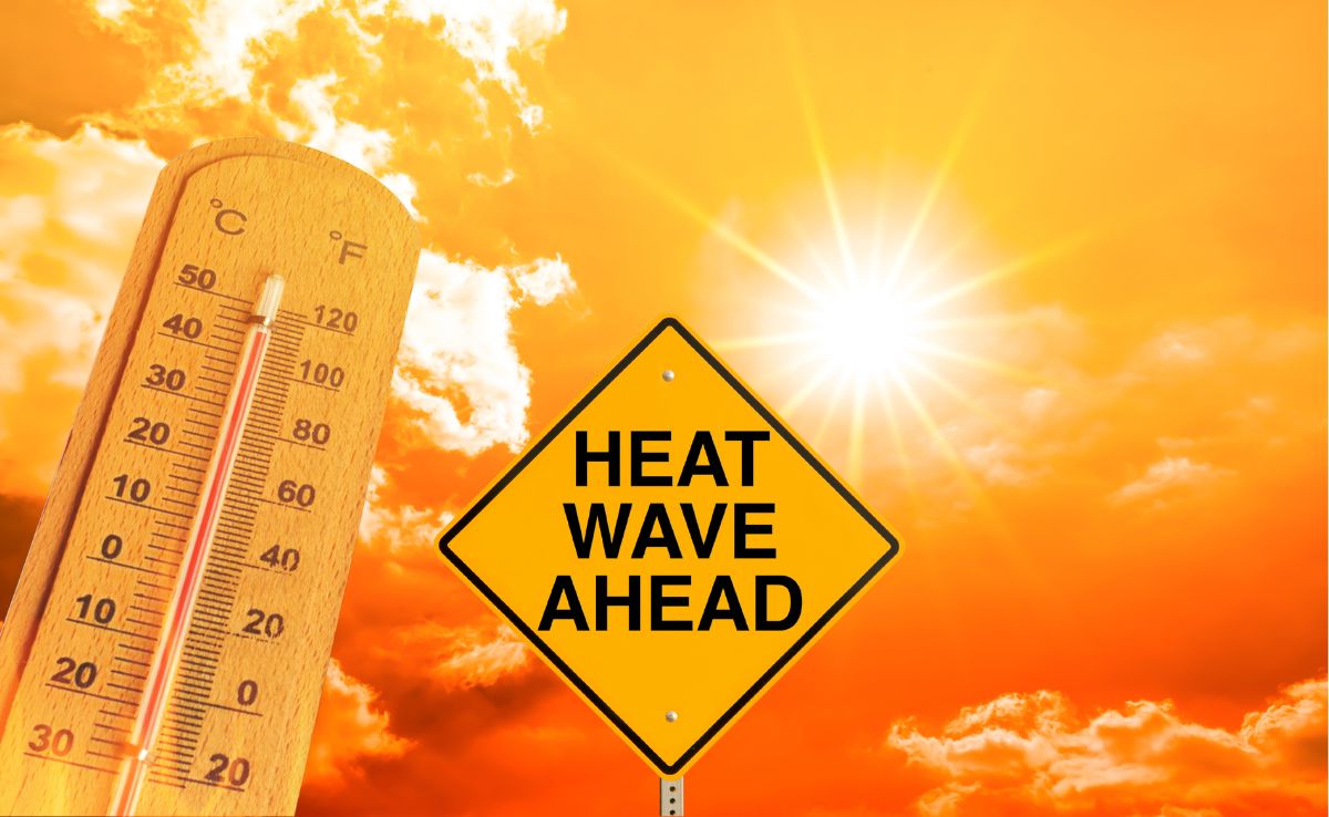 Keep an eye on local weather forecasts and heatwave warnings