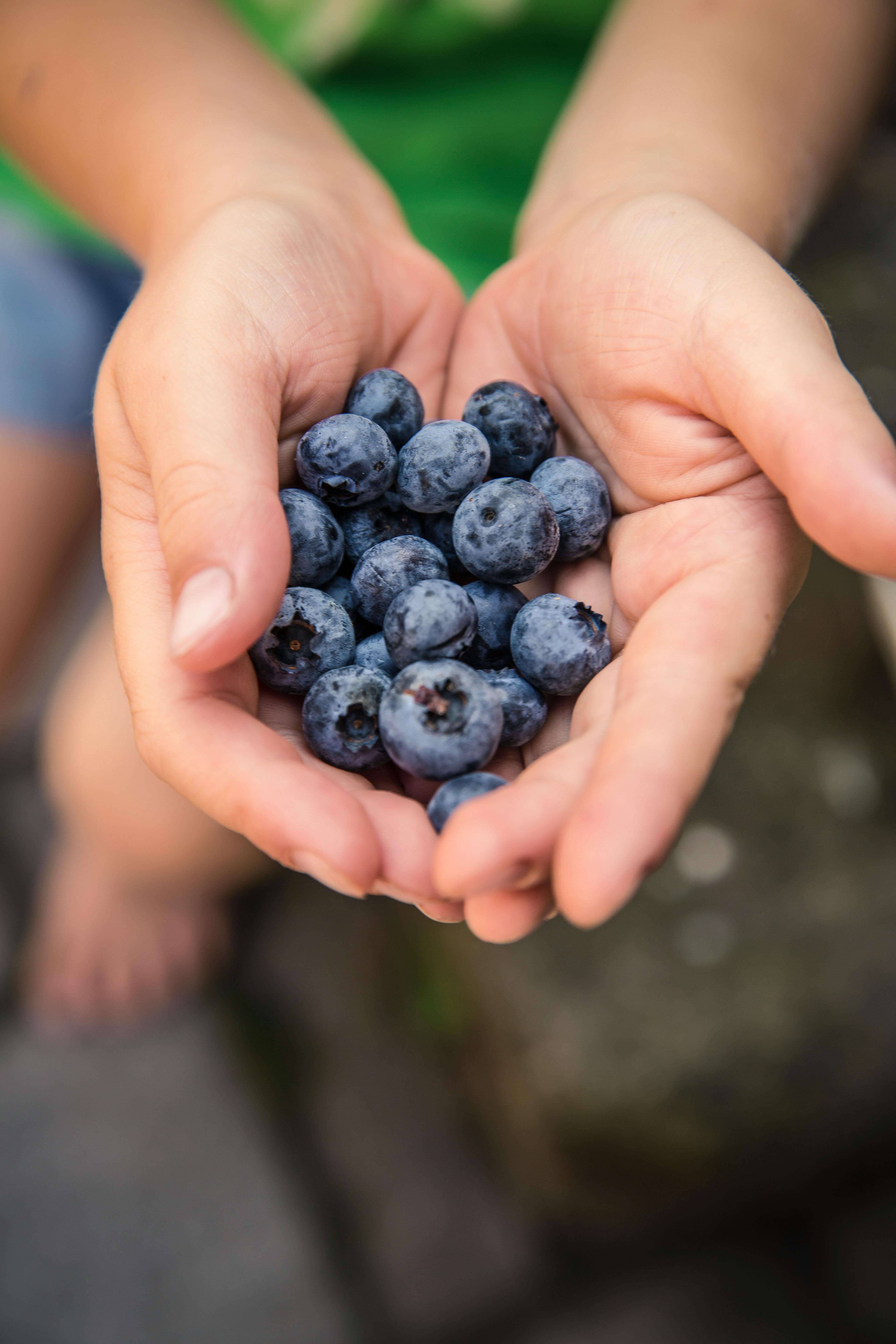 5 Heath Benefits Of Eating Blueberries Daily, image size:3840x5760