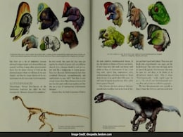 Strange Dinosaur Discovery Challenges: What We Know About Evolution Of Arms Strange Dinosaur Discovery Challenges: What We Know About Evolution Of Arms