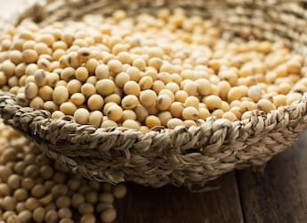 Is It Safe To Eat Soya Daily For Protein Needs? Expert Breaks Down The Why And How
