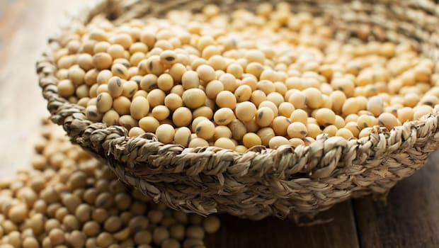 Is It Safe To Eat Soya Daily For Protein Needs? Expert Breaks Down The Why And How