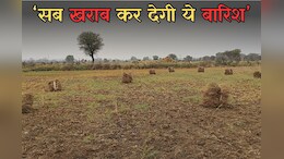MP Weather: बेमौसम बारिश से खराब हो रही खेतों में कटी फसल, मौसम विभाग ने जारी किया येलो अलर्ट