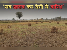 MP Weather: बेमौसम बारिश से खराब हो रही खेतों में कटी फसल, मौसम विभाग ने जारी किया येलो अलर्ट MP Weather: बेमौसम बारिश से खराब हो रही खेतों में कटी फसल, मौसम विभाग ने जारी किया येलो अलर्ट